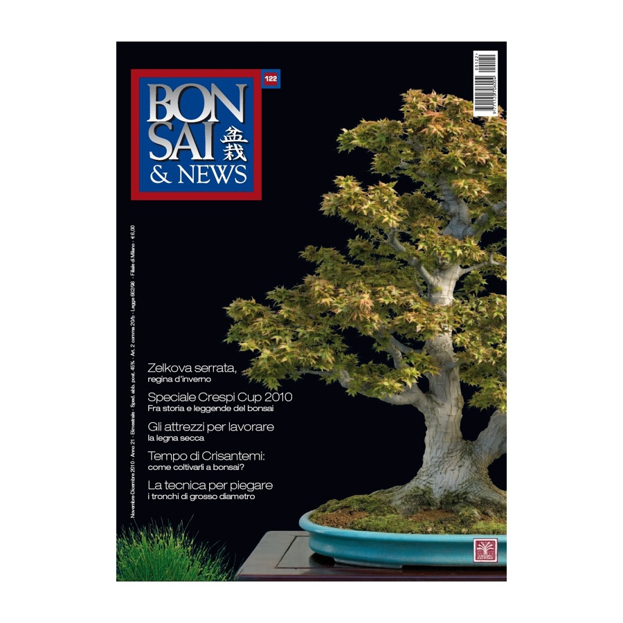 BONSAI & NEWS 122 - NOV-DIC 2010