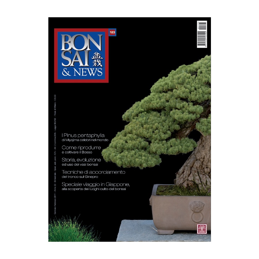 BONSAI & NEWS 123 - GEN-FEB 2011