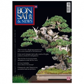 BONSAI & NEWS 125 - MAG-GIU 2011