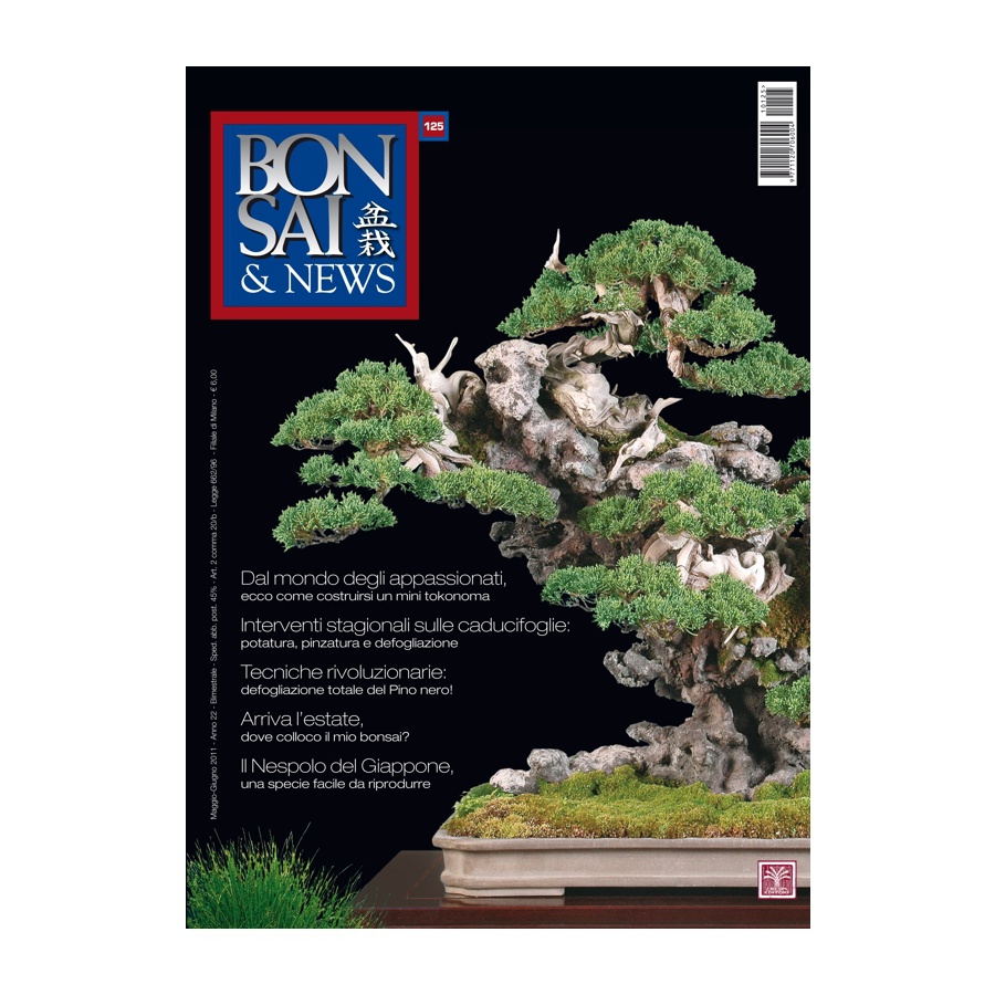 BONSAI & NEWS 125 - MAG-GIU 2011