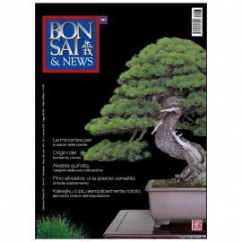 BONSAI & NEWS 127 - SET-OTT 2011