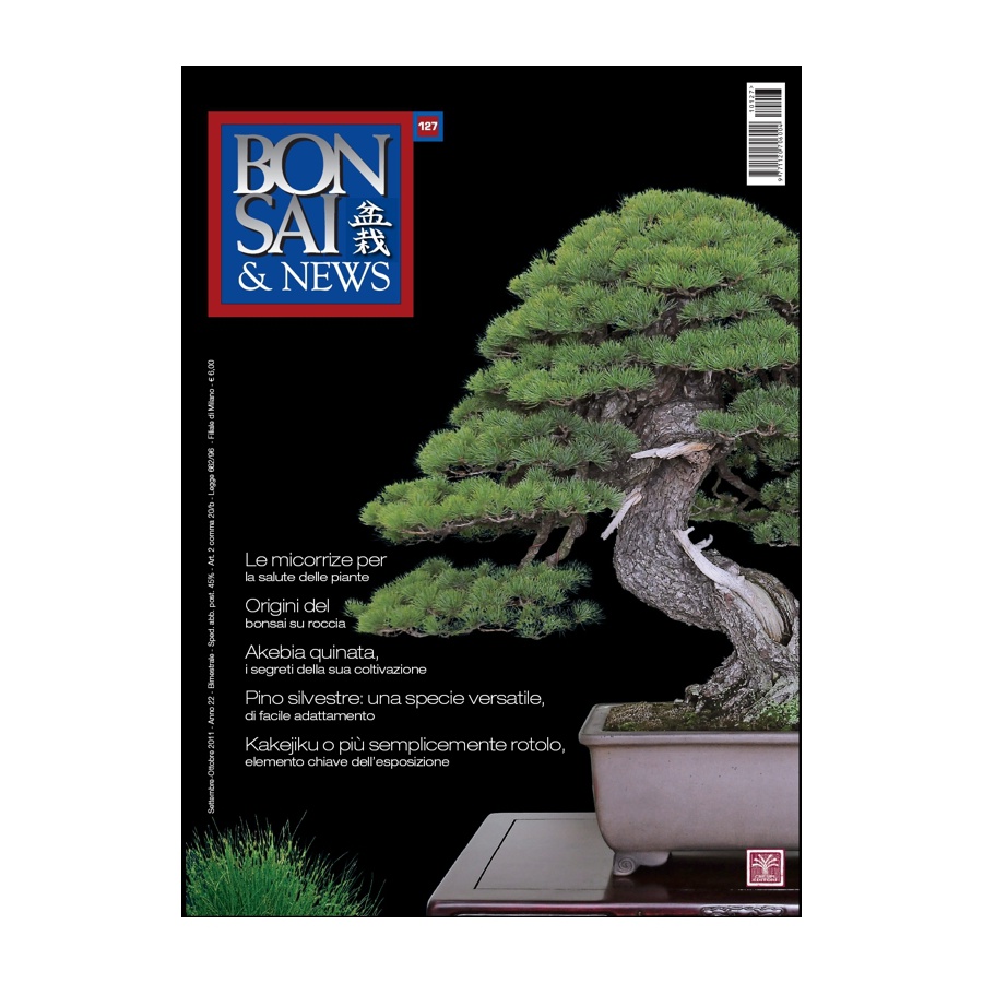 BONSAI & NEWS 127 - SET-OTT 2011