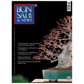 BONSAI & NEWS 128 - NOV-DIC 2011