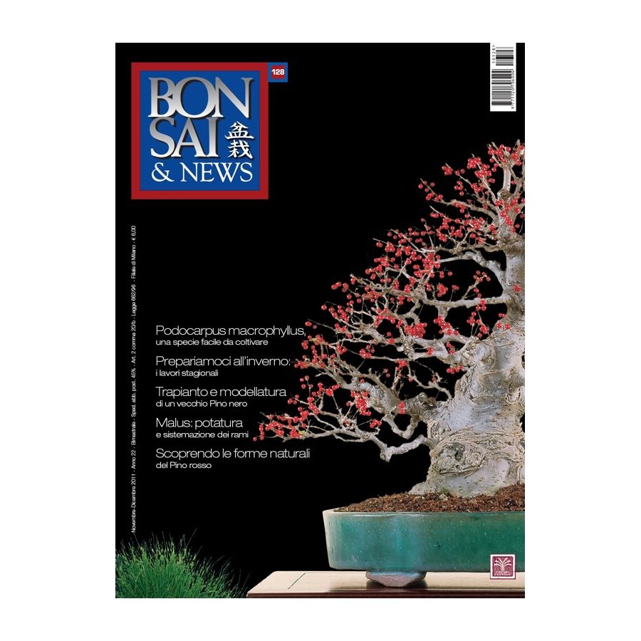 BONSAI & NEWS 128 - NOV-DIC 2011