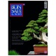 BONSAI & NEWS 129 - GEN-FEB 2012