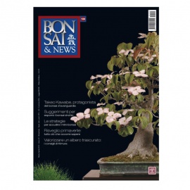 BONSAI & NEWS 130 - MAR-APR 2012