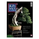 BONSAI & NEWS 134 - NOV-DIC 2012