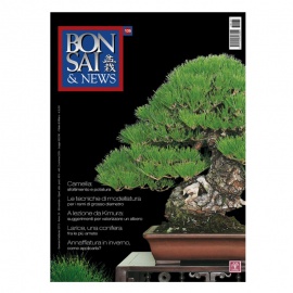 BONSAI & NEWS 135 - GEN-FEB 2013