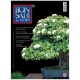 BONSAI & NEWS 136 - MAR-APR 2013