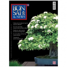 BONSAI & NEWS 136 - MAR-APR 2013