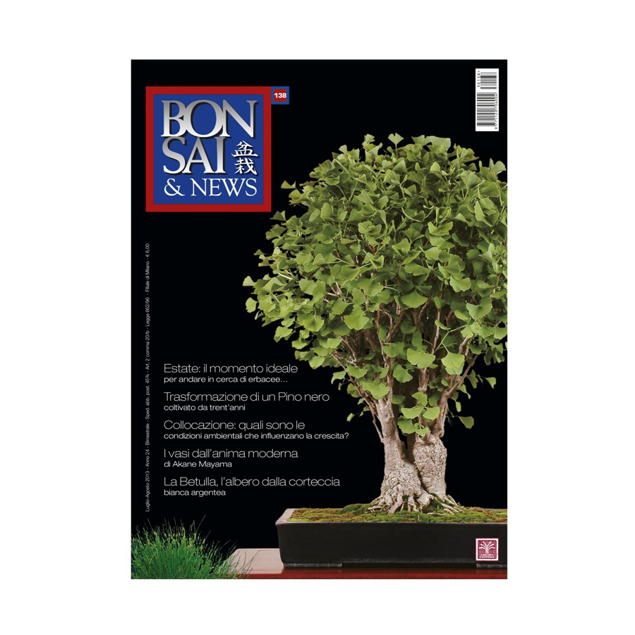 BONSAI & NEWS 138 - LUG-AGO 2013