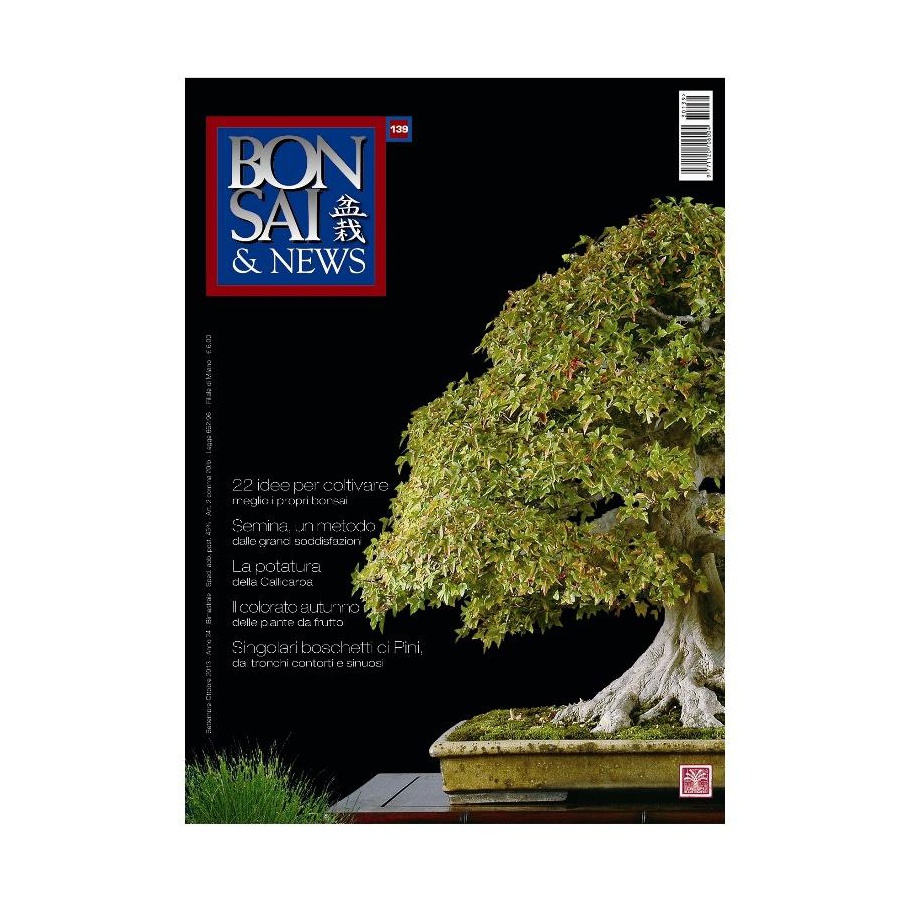 BONSAI & NEWS 139 - SET-OTT 2013
