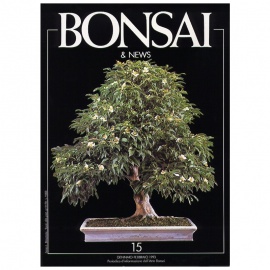 BONSAI & NEWS 15 - GEN-FEB 1993