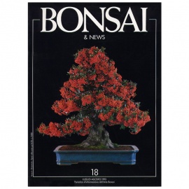 BONSAI & NEWS 18 - LUG-AGO 1993