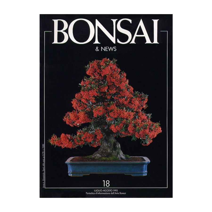 BONSAI & NEWS 18 - LUG-AGO 1993