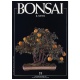 BONSAI & NEWS 19 - SET-OTT 1993