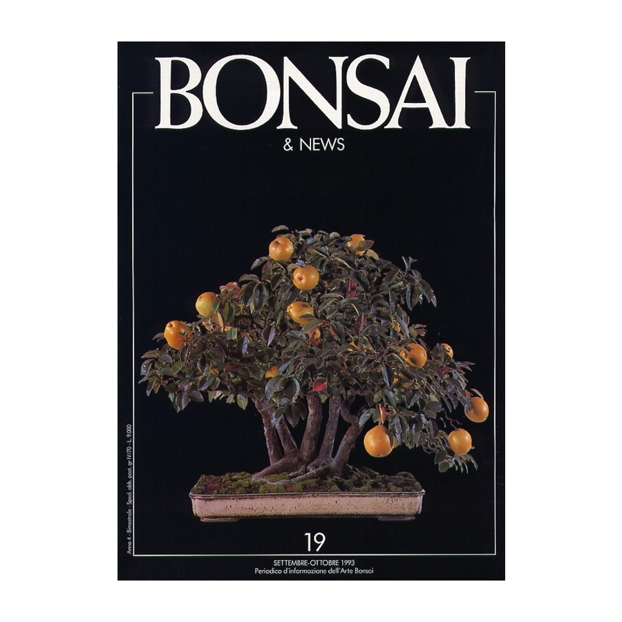 BONSAI & NEWS 19 - SET-OTT 1993