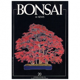 BONSAI & NEWS 20 - NOV-DIC 1993