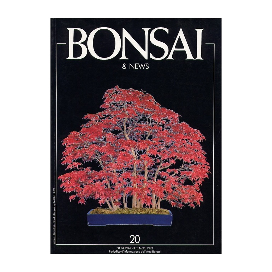 BONSAI & NEWS 20 - NOV-DIC 1993