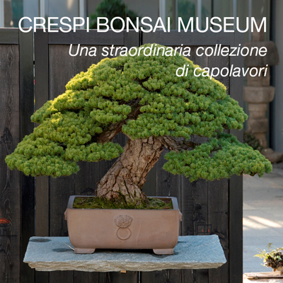 BONSAI & NEWS 183 - GENN-FEBB 2021 - Crespi Editori